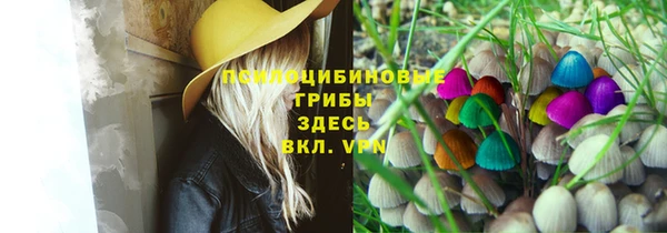 крисы Верхний Тагил