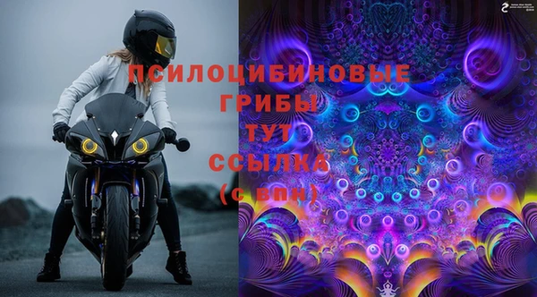 гидра Бугульма