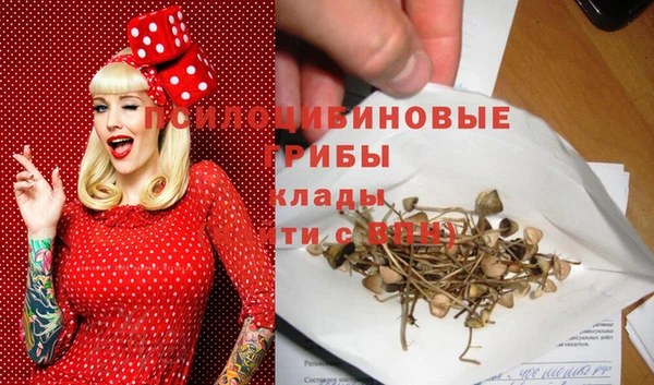 гидра Бугульма