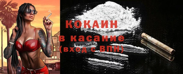 крисы Верхний Тагил