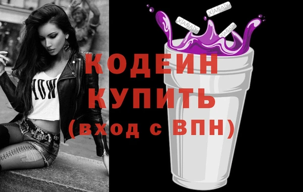 крисы Верхний Тагил