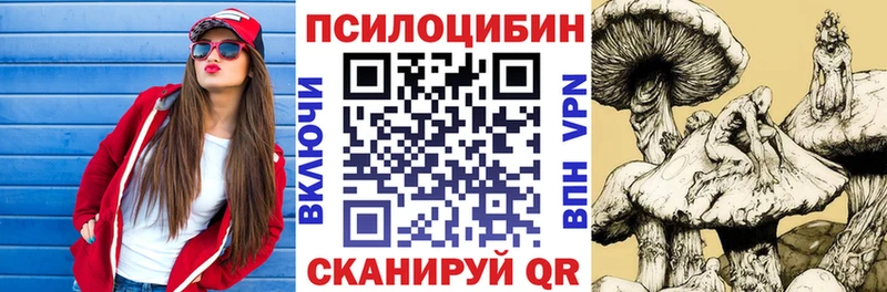 как найти закладки  Новое Девяткино  Псилоцибиновые грибы GOLDEN TEACHER 